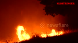Fire brigade protect houses from vegetation fire in California