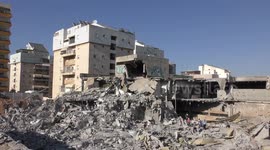 Rescuers look for injured bats after demolition