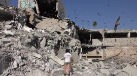Thousands of fruit bats flee after habitat was demolished.