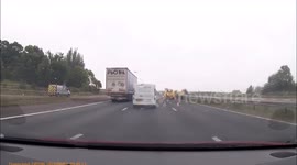 Swan causes motorway closure