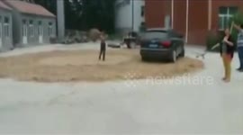 Luxury car drives on wheat to help thresh