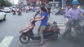 宠物犬趴在主人电动车后座