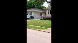 Multitasking mum carries baby on back while mowing the lawn