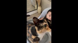 Cat steals banana from baby in Buenos Aires video