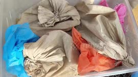 Forest officials in southern India bust wildlife trafficking gang, seize rare animals