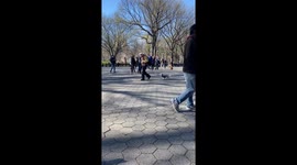 Exclusive-Meet the 'Happy Happy Happy' dog spreading joy in Central Park