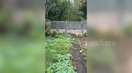 Homeowner shocked after shed vanishes from back garden