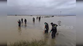 Spain: Guardia Civil Intensifies Search for Missing Persons in Albufera