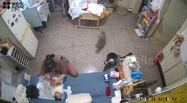 Cat brings brooch to grandmother while calming crying baby