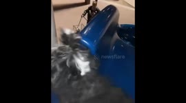 Dog takes a tumble after sliding down a children's slide