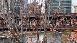 Chicagoans Brave 45 Degree Commute This Morning