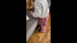 Toddler Stickers Patient Dog