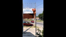 Person in dinosaur costume climbs pole in Cuernavaca, Mexico