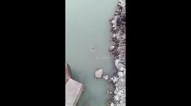 Bus carrying wedding party crashes into river killing 26 in Pakistan