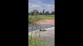 Brave local rescues drowning dog from fast-flowing dam