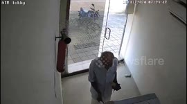 Wild boar crashes through glass door into bank as customer withdraws cash