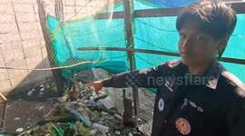 Snake catchers evacuate huge python caught eating farm duck