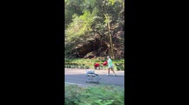 Robot dog joins marathon in China