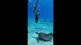 Freediver says 'hello' to sea turtle on her way back to surface