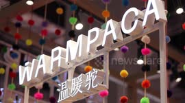 Peruvian alpaca toys enchant Chinese market at CIIE