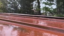 Intense Rainfall in Paducah, Kentucky