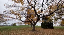 Autumn Winter Scenes in Dayton