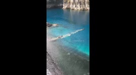 Deer Swim In San Domenico Lake