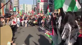 Japan: Part of a massive demonstration in Tokyo, Japan to support Palestine