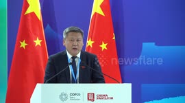 Energy transformation crucial for China's carbon neutrality goal: report