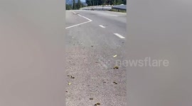 Soldiers injured in motorcycle bomb explosion in southern Thailand