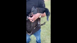 Person shares video of dad rescuing duck with fishing line stuck on foot