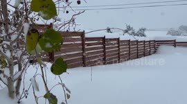 Heavy Snowfall Trinidad, Colorado