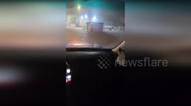 Spain: Rescue Operation Saves Security Guards Amid Torrential Rain and Flooding in Valencia
