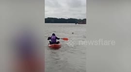 Tourist rows boat towards stranded pet dog to save it in canal