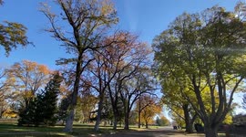 Autumn Foliage in Nebraska