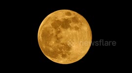 2024 November Beaver Supermoon