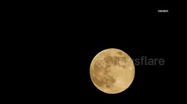 US, Los Angeles: Santa Clarita Beaver Supermoon Time Lapse