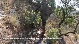 Lebanon: Activity of the Commando Brigade in Southern Lebanon