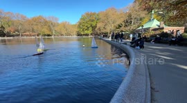 Central Park Weather NYC