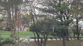 Windy Autumn Weather in Montgomery