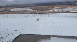 US: Cold Front Brings Snow, Low Temperatures To Northern Utah