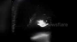 US: Coast Guard's Heroic Airlift Saves 2 Boaters, Dogs Off Maryland Coast