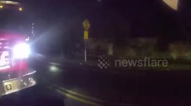 US: Runaway Horses Trotting Through Tacoma Strip Mall Prompt Unusual Police Response