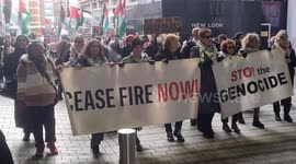 Chanting from protesters in Leeds City Centre during Free Palestine march