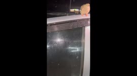 Sleepy bird perched on car door in snowstorm in Northern Kazakhstan