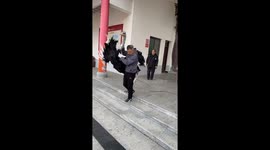 Ostrich escapes handler and trips guiding person
