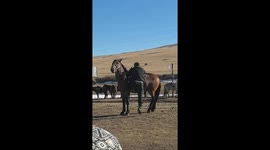 Nervous rider struggles as horse moves away