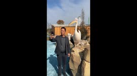 Man gets a playful bite from pelican while taking selfie