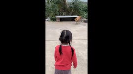 Dog joyfully jumps after girl’s playful cue