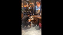 Funny interaction with fat cat on bench captured in Shanghai, China